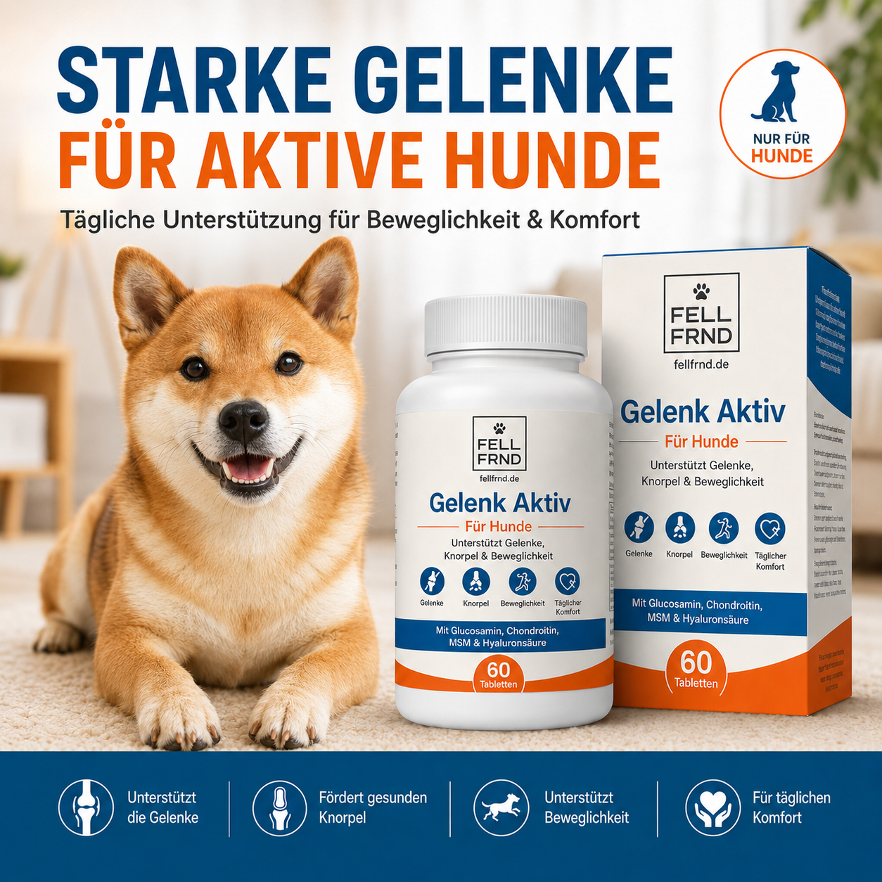 Gelenk-Aktiv Snacks – Gelenkschutz für Hunde