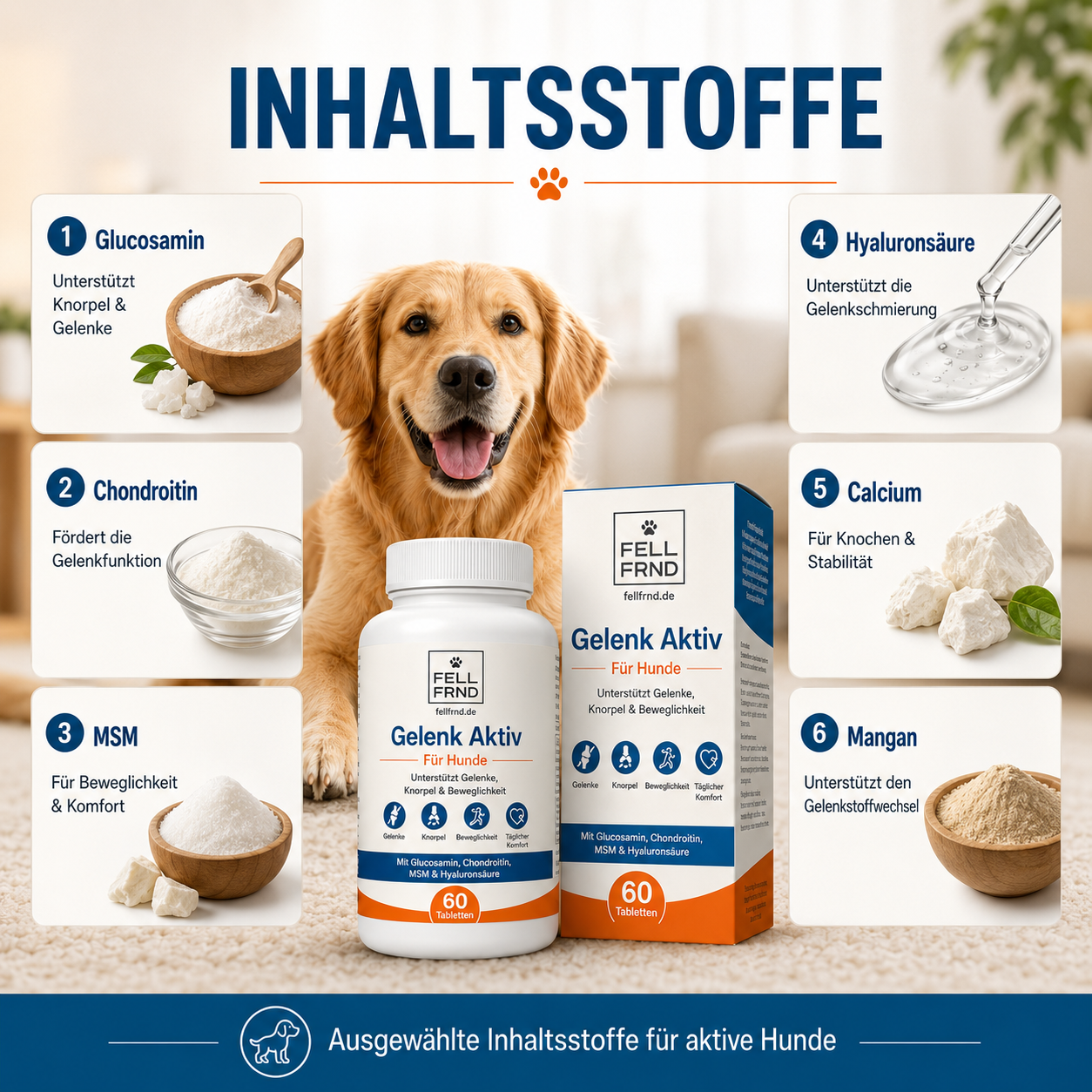 Gelenk-Aktiv Snacks – Gelenkschutz für Hunde